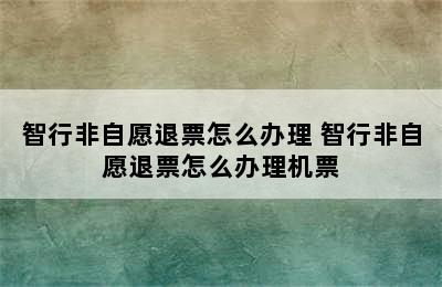 智行非自愿退票怎么办理 智行非自愿退票怎么办理机票